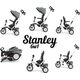 Milly Mally Milly Mally Rowerek Trójkołowy 6w1 Stanley Grey