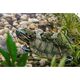 Exo Terra Floating Island - Turtle, 23 x 14 x 5 cm 12313681 15561230681