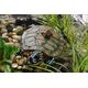 Exo Terra Floating Island - Turtle, 23 x 14 x 5 cm 12313681 15561230681