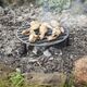 Esschert Design FIRE PIT GRILL
