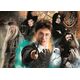 Clementoni CLE puzzle 500 Compact HarryPotter 35534