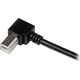 Kabel USB StarTech USB-A - USB-B 3 m Czarny (USBAB3MR)