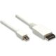 Kabel Techly DisplayPort Mini - DisplayPort 2m biały (304819)
