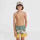 O Neill Dziecięce Szorty MIX & MATCH CALI BLOCK 13'' SWIM SHORTS