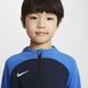 Nike Dres Nike Academy  DJ3363-451