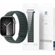 Dux Ducis Magnetyczny pasek Dux Ducis Strap BL do Apple Watch 38 / 40 / 41 mm - zielony