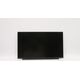 15.6" FHD IPS LCD display,