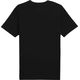 Koszulka Puma AC Milan FtbINGRY Tee 779315-07