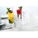 Crystal glasses RCR OASIS, 360 ml, 6 pcs.