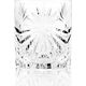 Crystal glasses RCR OASIS, 320 ml, 6 pcs.