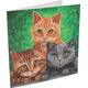 Cats, 18x18cm Crystal Art Card