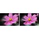 Filtr Ostry Pas Środek Center Field Split Diopter K&F NANO-B na 58 mm 58mm / KF01.2668V1