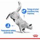 Royal Canin Karma FCN Light Weight Care 3 kg