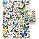 CzuCzu Puzzlove Motyle 200el puzzle rodz.93648