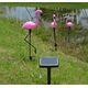 Aptel 3 Solarne lampy ogrodowe LED Flamingi IP65 (ZD50K)