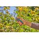 Secateurs GARDENA SuperCut Flex, 24 mm