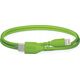 RODE SC21 - Καλώδιο USB-C - Lightning 30cm Πράσινο