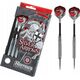 Harrows Harrows Rzutki Steeltip Silver Arrows 18 g