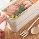 Apte AG479I POJEMNIK 750ML LUNCH BOX