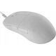 Mysz Endgame Gear Endgame Gear XM2 8k Gaming Maus, kabelgebunden - White Frost