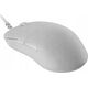 Mysz Endgame Gear Endgame Gear XM2 8k Gaming Maus, kabelgebunden - White Frost