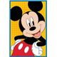 Puzzle 3x80 elementów Ekipa Myszki Miki Trefl