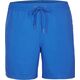 Męskie szorty O'neill Cali Shorts victoria blue rozmiar M
