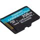 Κάρτα MicroSD Kingston Technology Canvas Go! Plus 256 GB UHS-I Κατηγορία 10