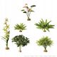 Hagen HAG.ROSL.D/TERRAR.BOSTON GERN 22CM 2990 - 58780 1652795 15561229906