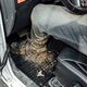 Frogum Dywaniki gumowe do BMW 5GT (F07) (2008-2017) FROGUM 402300 uniwersalny