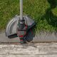 AL-KO GT 1825, String trimmer, 25 cm, Nylon line, D-loop handle, Black, Battery - SOLO