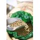 COFFEE PLANT - Ουσία Λουλουδιών Espresso 250g