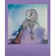Φιλμ Polaroid Color για Go - Purple Haze Frame - Διπλή Συσκευασία