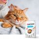 ONTARIO Cat Hair & Skin 2kg (Μαλλί και δέρμα)