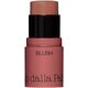 Diego Dalla Palma, All In One, Blush Stick, 44, Biscuit, 4 g For Women