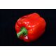 TORAF ΠΙΠΕΡΙΑ CALIFORNIA WONDER CAPSICUM ANNUUM L. [0,5 G]