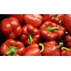 TORAF ΠΙΠΕΡΙΑ CALIFORNIA WONDER CAPSICUM ANNUUM L. [0,5 G]