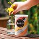 BARÚ - Βανίλια Chai Latte - Σκόνη ποτού 250g