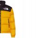 The North Face 1996 Retro Nuptse Jacket NF0A3C8DZU31 Κίτρινο S