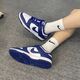 Nike Dunk Low Retro DV0833-103 λευκό 44