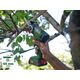 Piła łańcuchowa Bosch Bosch cordless saw NanoBlade UniversalCut 18V-65 solo, 18 volts, chainsaw (green/black, without battery and charger, POWER FOR ALL ALLIANCE)