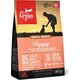 ML ORIJEN Small Breed Puppy 1.8kg