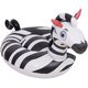 DMUCHANA ZEBRA 153x78x75CM 35488