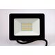 Naświetlacz Philips Projektor LED PILA BVP007 50W 4000K 4250lm 911401732222
