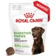 ROYAL CANIN Digestion Adult Dog Supplements 160g