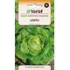 TORAF SAŁATA MASŁOWA LENTO LACTUCA SATIVA L. [1 G]