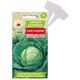 TORAF ΛΑΧΑΝΟ ΛΕΥΚΟ ΣΛΑΒΑ Ζ ΓΚΟΟΥΕΜΠΙΕΒΑ BRASSICA OLERACEA L. [2 G]