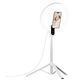 Ulanzi LT030 Lampa LED WB (3000 K - 6000 K)