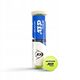 Tennis balls DUNLOP ATP OFFICIAL TOUR Premium 4-tube ITF