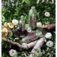Conter TESORI Żel pod prysznic 250ml Forest Ritual